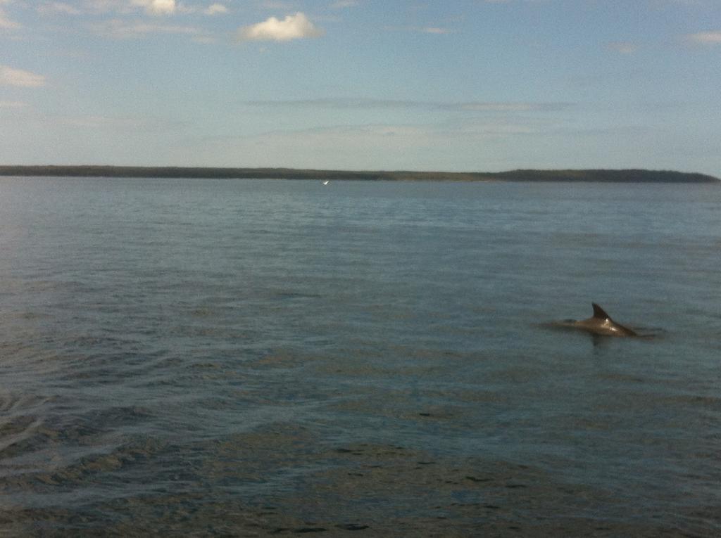 Мотель Jervis Bay Mariners Хаскиссон Экстерьер фото